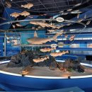 어촌민속전시관 이미지