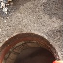 일죽공판장 이미지