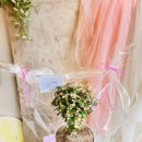 신월동213 이미지