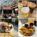 Sam's(샘) | 해운대 술집 샘라이언스 Sam Ryan's 애견동반 후기