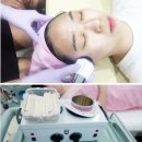 법인안기 이미지