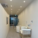 소희 스타일 독 이미지