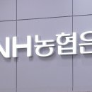 ﻿전산장애, 조용히 넘기면 그만?…농협은행 대응 도마 위 이미지