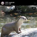 사기막 농장 이미지