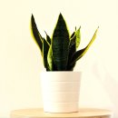 준성화학 이미지