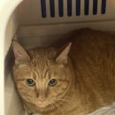 RR-56[파주로]-상-250 | 1분기 마감