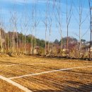 쉼 토평리 이미지