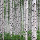 클래식 뉴트로 이미지