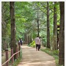 한국사 속 숨겨진 비밀 이미지