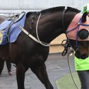 일선목장 이미지