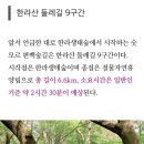 7월21일(금)중복, 들깨밭 제초매트, 한라산둘레길(숫모르숲길) 이미지