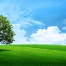 푸른초원 이미지