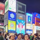 일본 오사카-고베 벚꽃 여행/2023.3.27~29.월~수(2박3일) 이미지