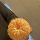 콩순이의 식탁 | 2월 일상 | 졸업도 하고 여행도 가고 짧지만 알차다!