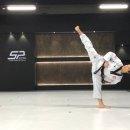 더스페셜 태권도장 이미지