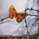 철원식품 이미지