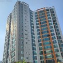 감정초교 이미지