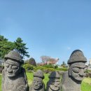 중문농업협동조합강정지점 네이버블로그