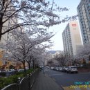 함양오봉산 이미지