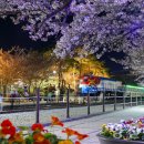 CU(벚꽃점) 이미지