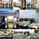 클럽 플로라 이미지