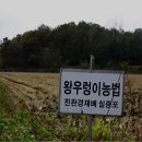 쌀아지매