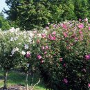 평화공원내 이미지