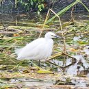 명가옛날통닭 수유점 | 신설동 명가통닭 청계천 치맥하기 좋은 곳 생맥주 &amp; 옛날 치킨 맛집 후기(메뉴판)