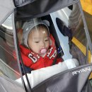 정후과일야채