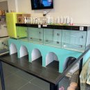 까르르멍멍 이미지