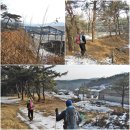 송림양돈 이미지