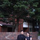 [결혼준비/데이트스냅] 하얀스냅 본식스냅 전 야외스냅 촬영 후기