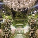 영프라자 | 웨스턴빌리프, 천년컨벤션웨딩홀, 베네치아웨딩홀) 투어 후기 및 26년도 견적 무료 공유, 당일계약혜택