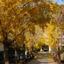 보령중학교 이미지