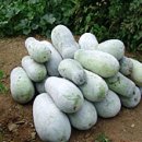 동아한의원 이미지