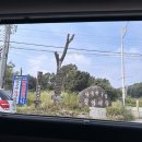 윤민농장 이미지