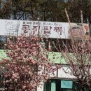 콩지칼국수 이미지