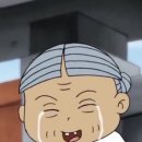이영수고양이병원
