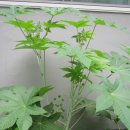 명륜동-7 이미지