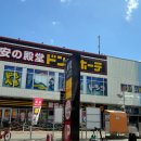 초원카 | 후쿠오카 아프리칸 사파리 투어 아이들도 좋아했던 여행지 후기(렌트카 여행 코스까지)