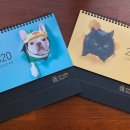 은하수 동물병원 이미지