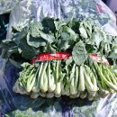 통리5일장터 이미지