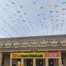 다~놀자 | WOW 다놀자! 양평페스타 후기