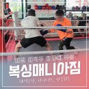 금성 복싱체육관 | 대전 대덕구 비래동 복싱 복싱매니아짐 한달 솔직 후기