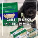 더덴탈 | 강아지 치석 덴탈껌 효과 있을까? l 스파이더웹 덴탈바 사용 후기