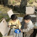 안월선 민박 코리아, 제주 이미지