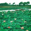 신성물산 이미지