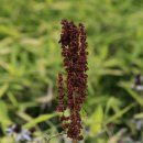 수원팔색길 모수길 이미지