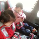 승기농장 이미지