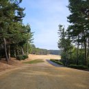 티스크린골프(418) | 골프존 신규 쉬운 코스 해내다 CC 스크린골프